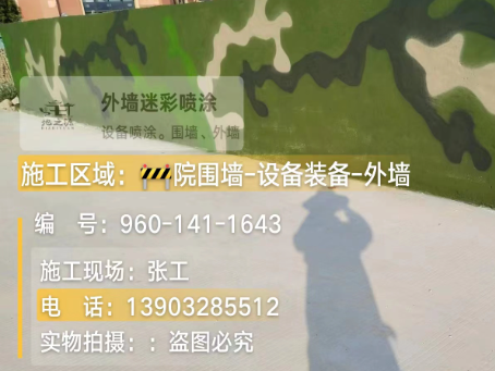 福州 迷彩漆喷涂价格（按平方米计费）