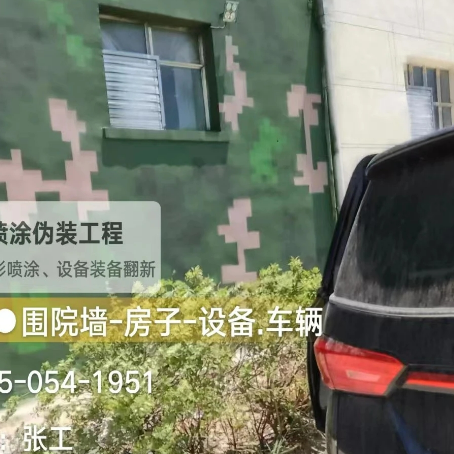 福州数码迷彩漆施工